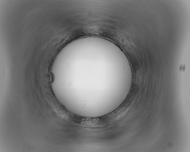 X0000091661201200709061013