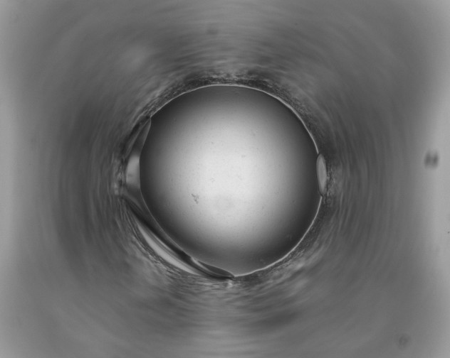 X0000091661202200709061013