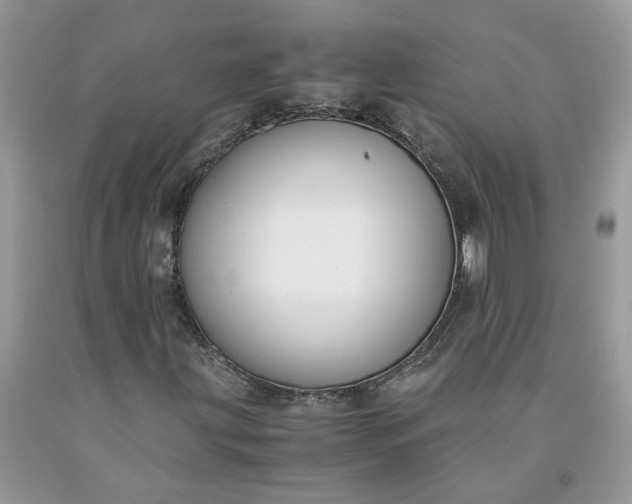 X0000091661203200709061013