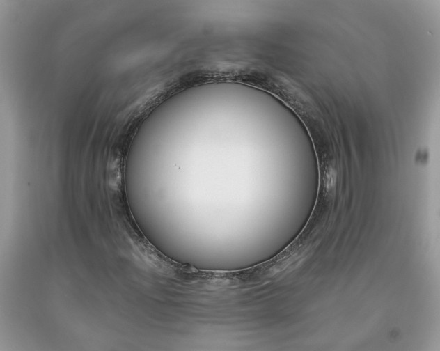 X0000091661204200709061013