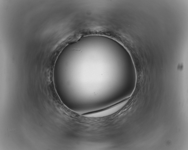 X0000091661205200709061013