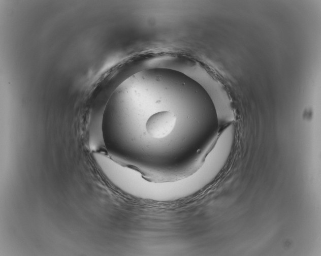 X0000091661206200709061013