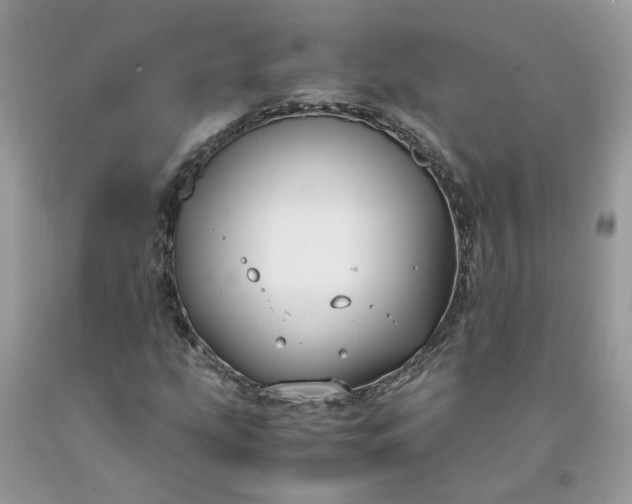 X0000091661207200709061013