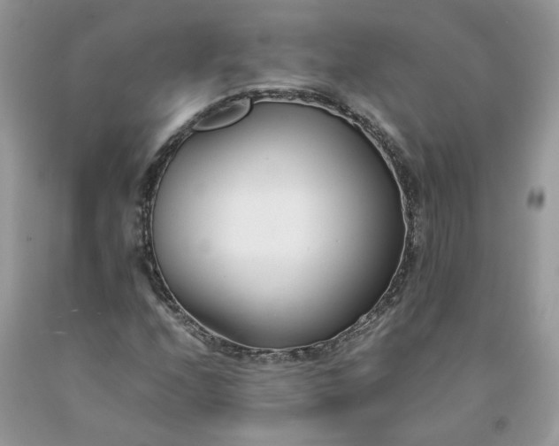 X0000091661208200709061013