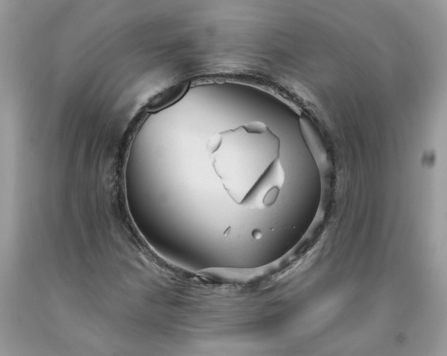 X0000091661210200709061013