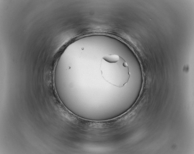 X0000091661211200709061013