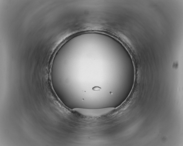 X0000091661212200709061013