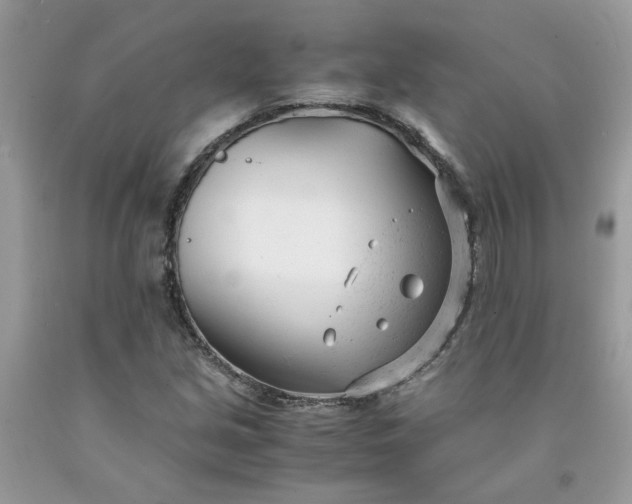 X0000091661213200709061013