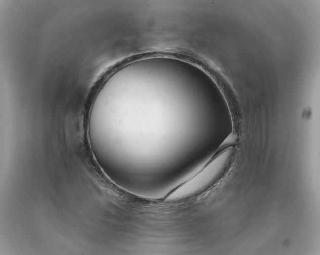 X0000091661214200709061013