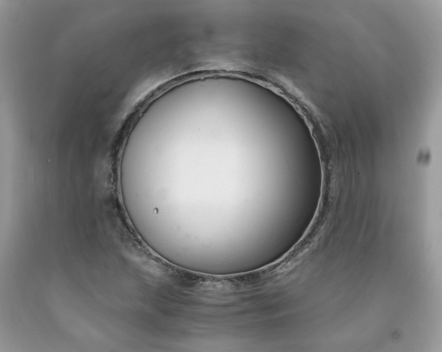 X0000091661215200709061013