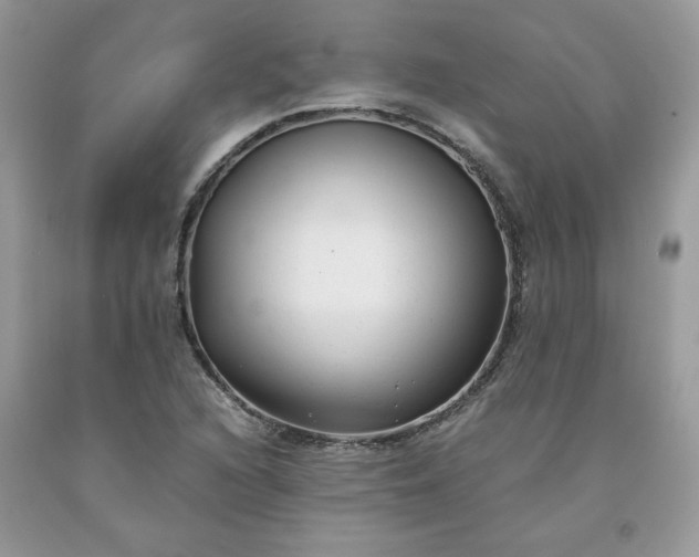 X0000091661216200709061013