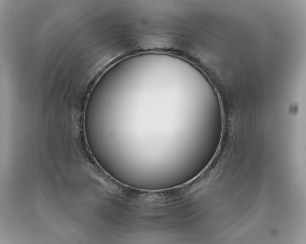 X0000091661217200709061013