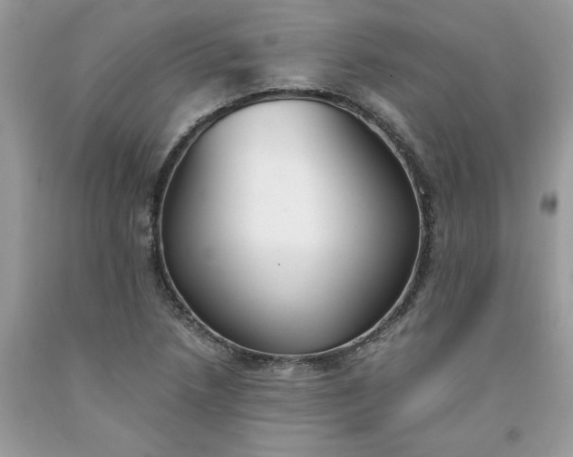 X0000091661218200709061013