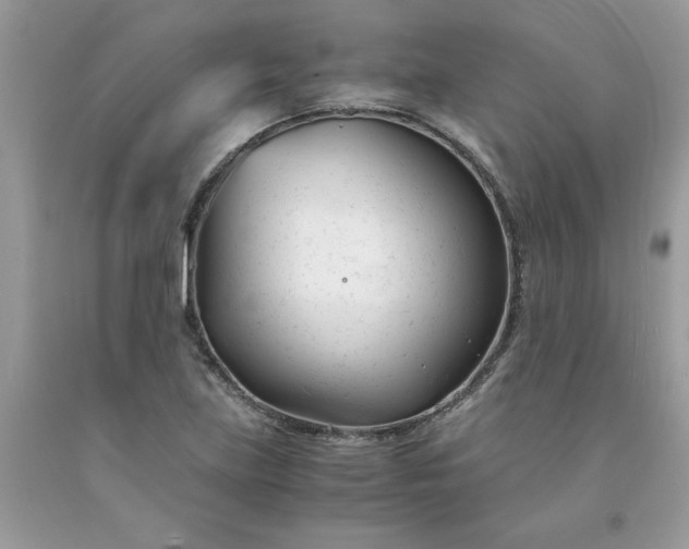 X0000091661219200709061013