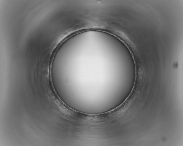 X0000091661220200709061013