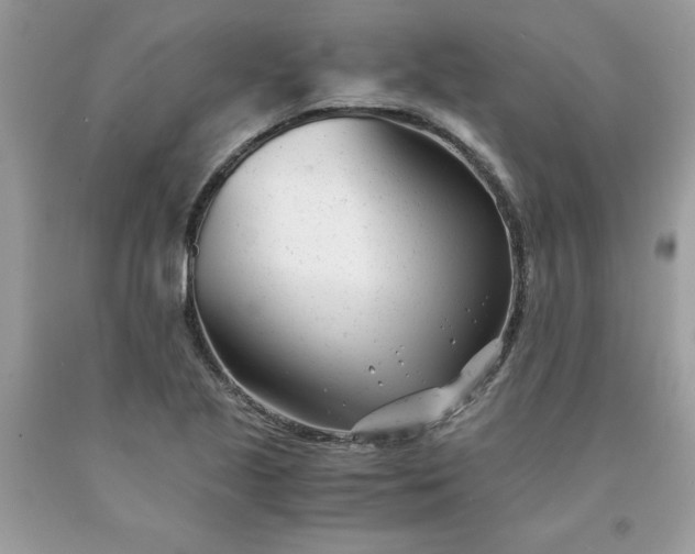 X0000091661221200709061013