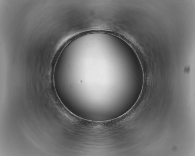 X0000091661222200709061013