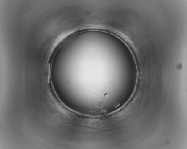 X0000091661223200709061013