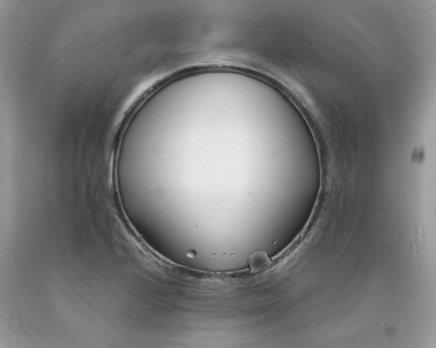 X0000091661224200709061013