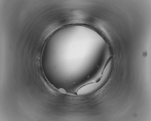 X0000091661225200709061013