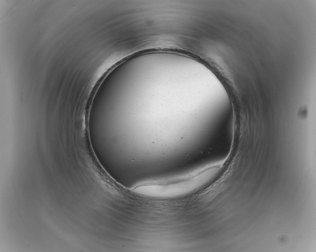 X0000091661226200709061013