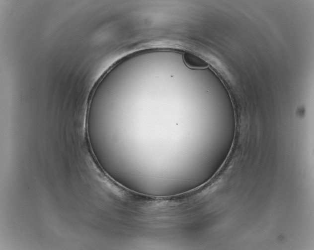 X0000091661228200709061013