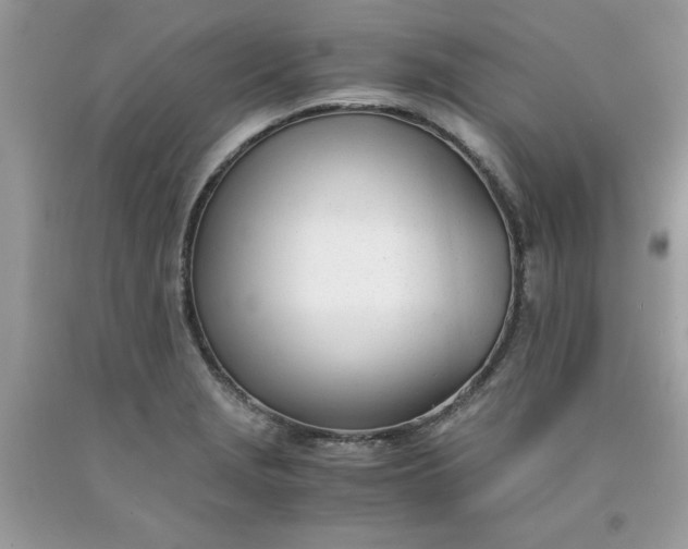 X0000091661229200709061013