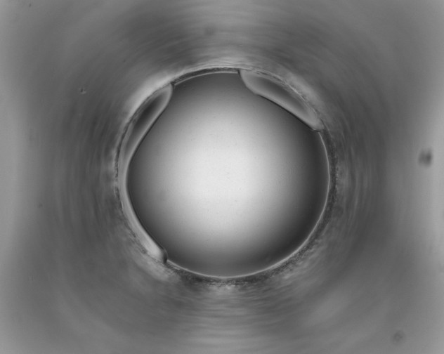 X0000091661230200709061013