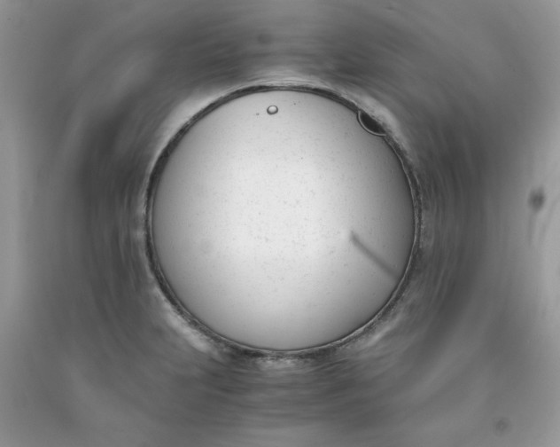 X0000091661231200709061013