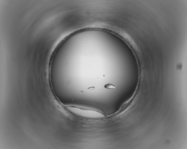 X0000091661232200709061013