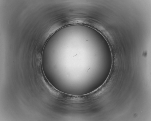 X0000091661233200709061013