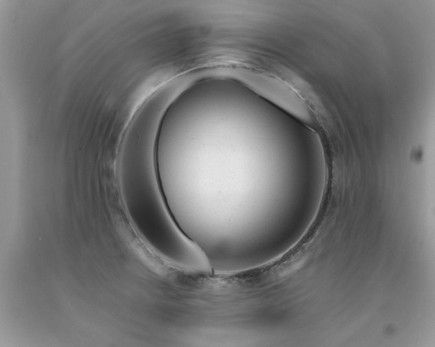 X0000091661234200709061013