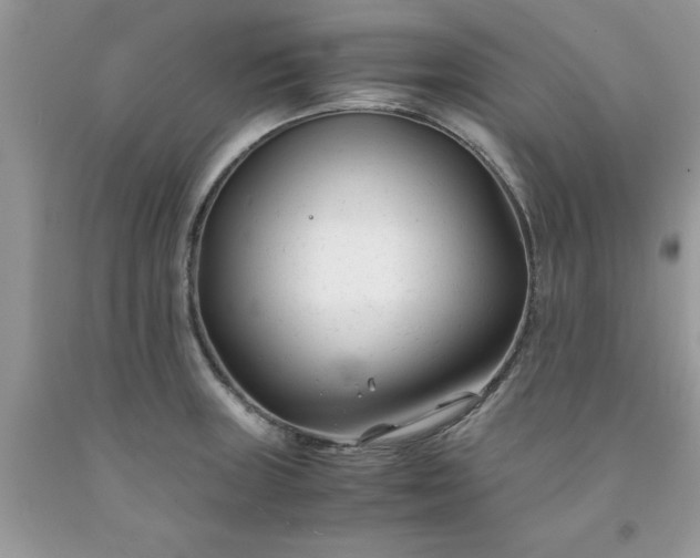 X0000091661235200709061013