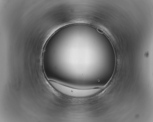 X0000091661236200709061013