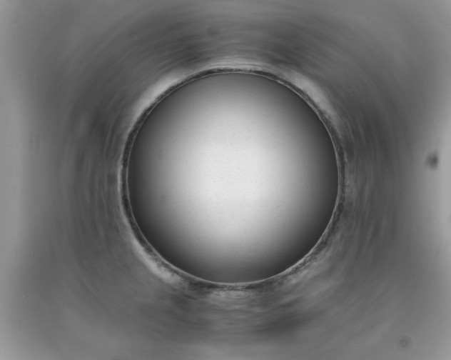 X0000091661237200709061013