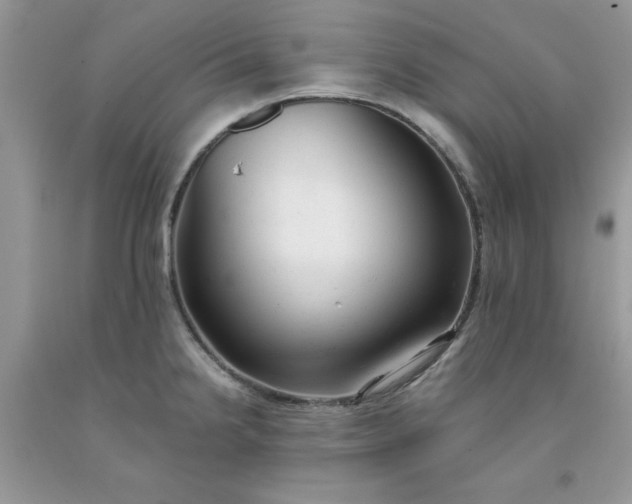 X0000091661238200709061013