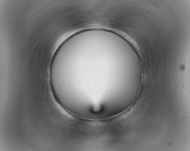 X0000091661239200709061013