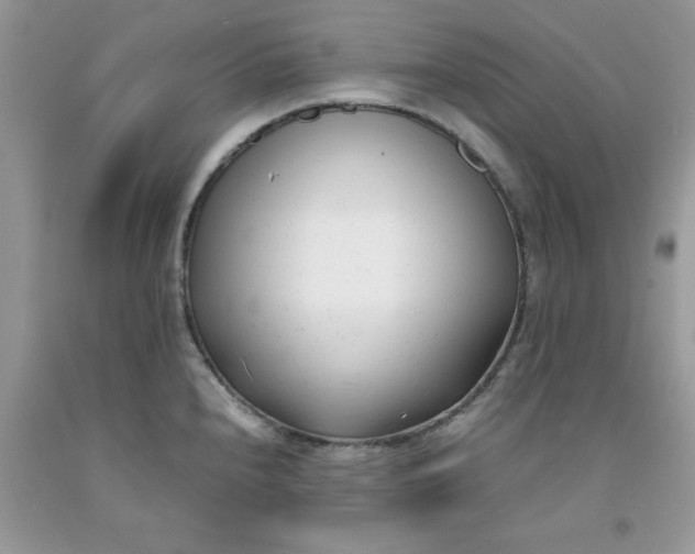 X0000091661240200709061013