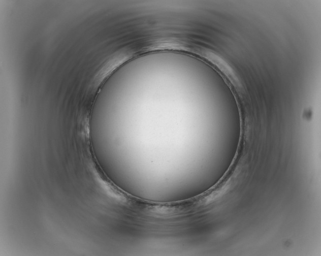 X0000091661241200709061013