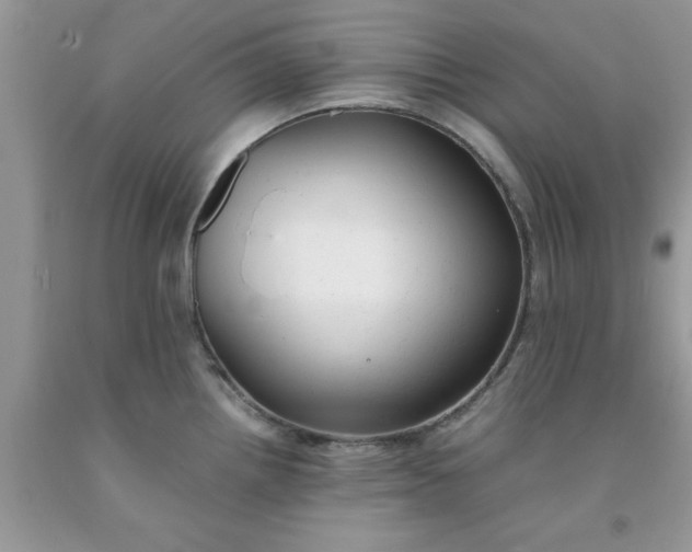 X0000091661242200709061013