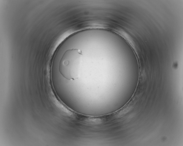 X0000091661243200709061013