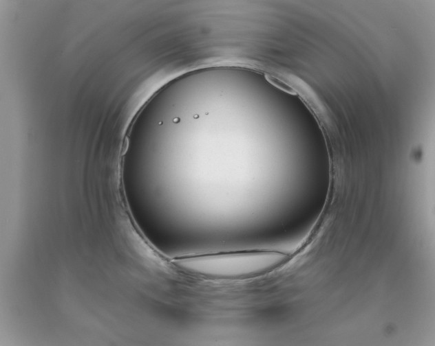 X0000091661244200709061013