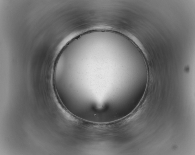 X0000091661245200709061013