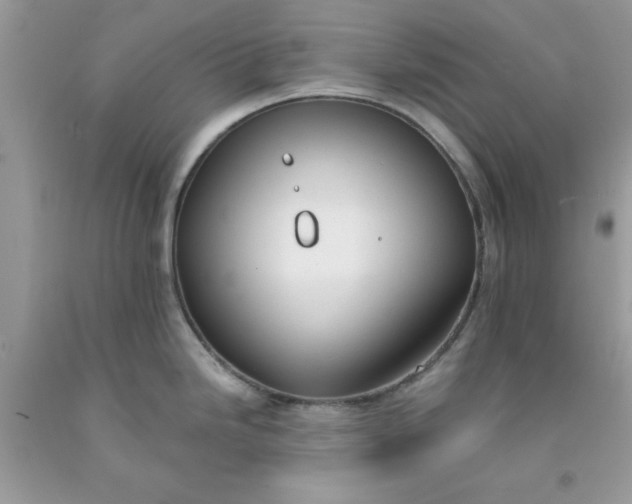 X0000091661246200709061013