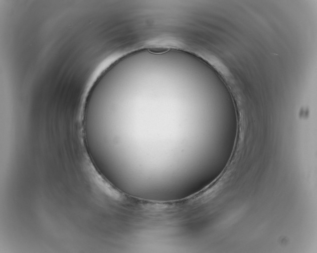 X0000091661248200709061013