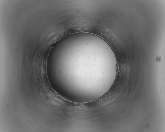 X0000091661250200709061013