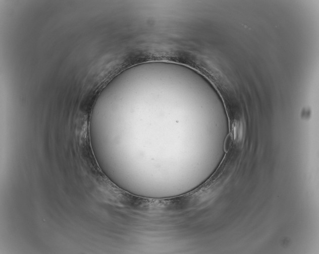 X0000091661251200709061013