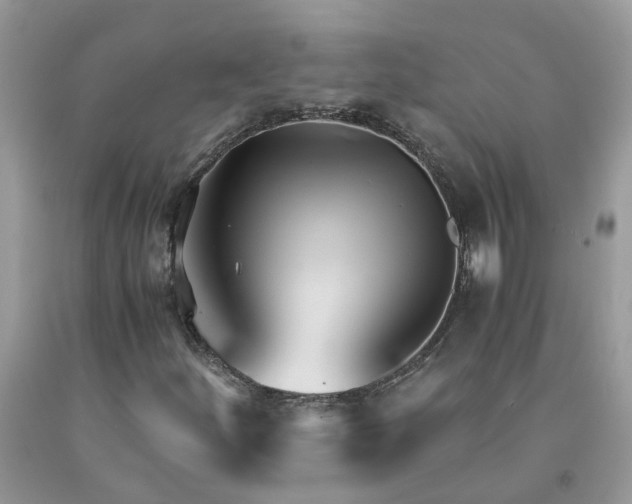 X0000091661252200709061013