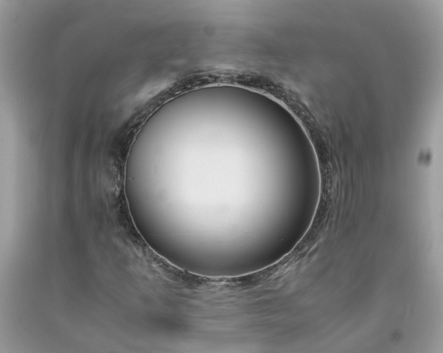 X0000091661253200709061013