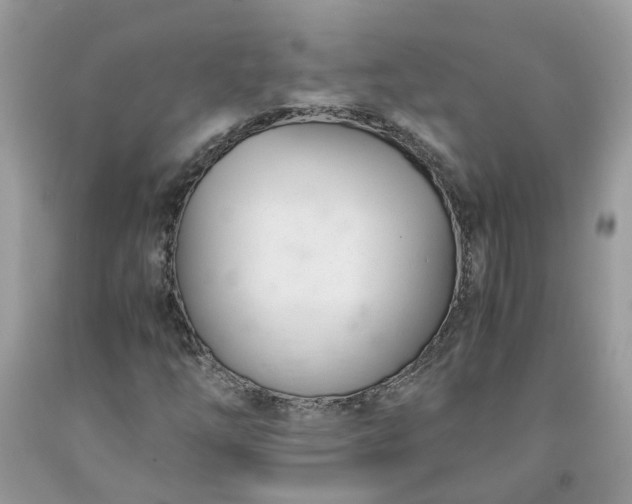 X0000091661254200709061013